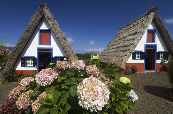 Maisons à Madère île — Photo