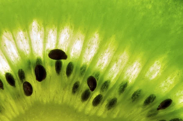 stock image Kiwi close up