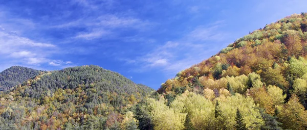 Autumn color — Stock Photo, Image