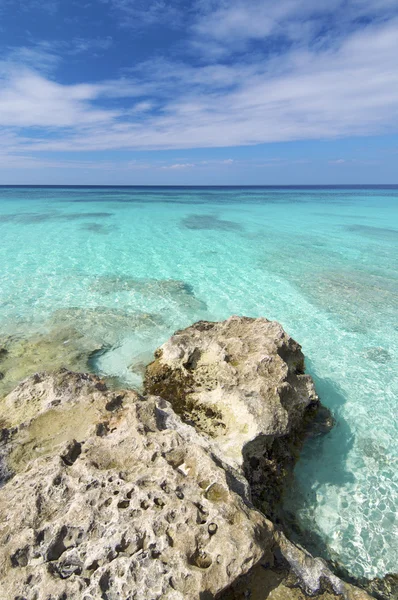 Playa de coral — Foto de Stock