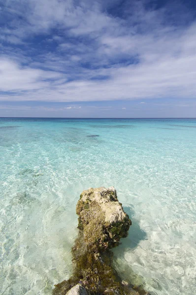 Playa del Coral en el Caribe — Foto de Stock