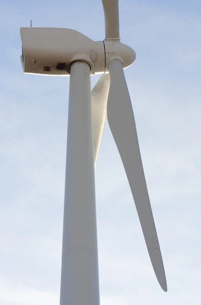 Větrný mlýn — Stock fotografie