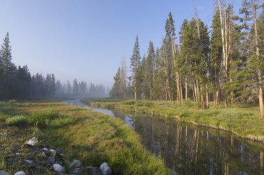 Yellowstone landscape