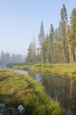 Yellowstone landscape