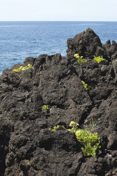 Rocha vulcânica — Fotografia de Stock