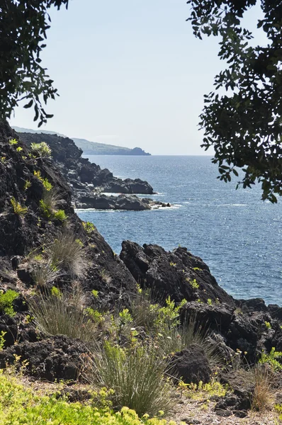 stock image Azores coastline