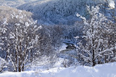 Ocak'ta sakhalin Adası