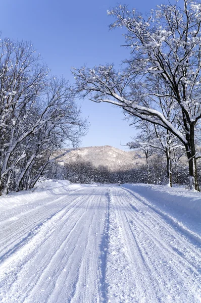 Kışın yol — Stok fotoğraf