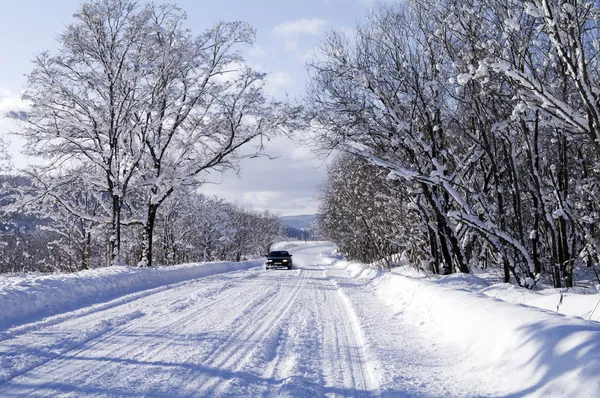 Drumul de iarnă — Fotografie, imagine de stoc