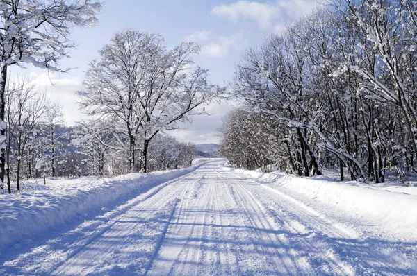 Estrada no inverno — Fotografia de Stock