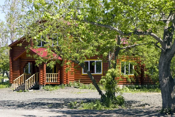 stock image Log house in a tree shade