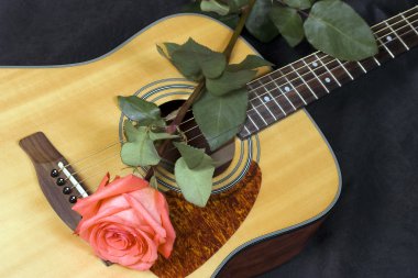 gitar ve gül