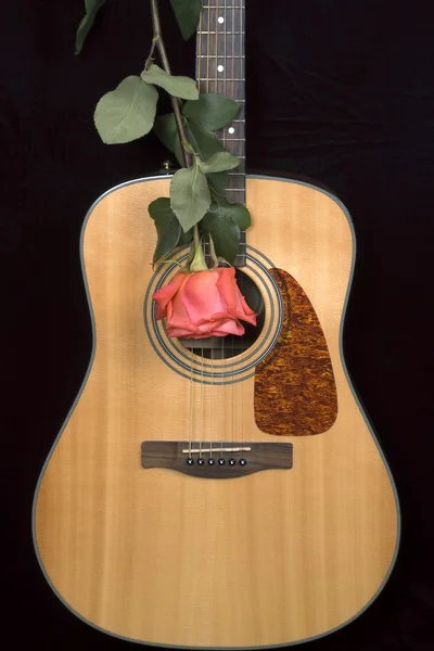 Gitarre und Rose — Stockfoto