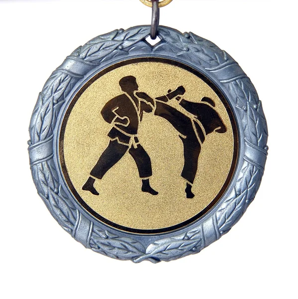 Medali karate — Stok Foto