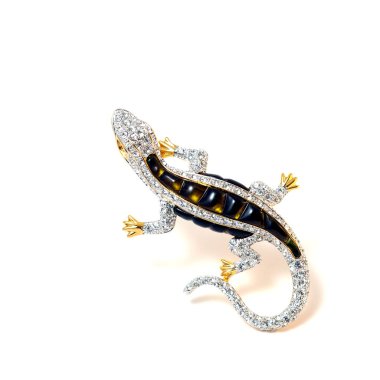 Brooch Lizard. clipart