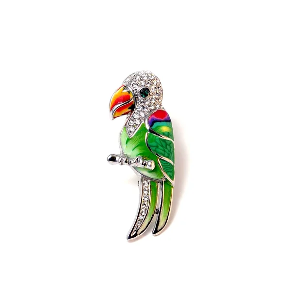Broszka papuga — Zdjęcie stockowe