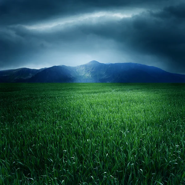 Green field and mountains — Stock Photo, Image