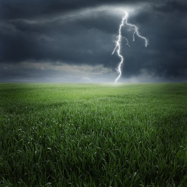 Onweer en bliksem op het groene veld Stockfoto