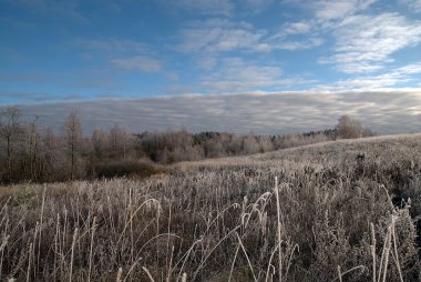 Doğa harikaları. bir manzara. hoarfrost