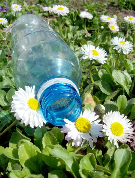 Отброшенная пластиковая бутылка — стоковое фото
