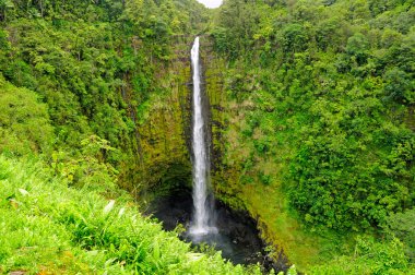 Akaka Falls in Hawaii clipart