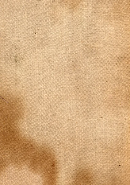 Каноническая текстура — стоковое фото