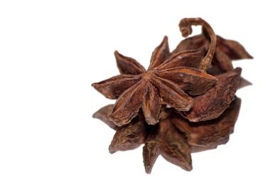 Star Anise clipart