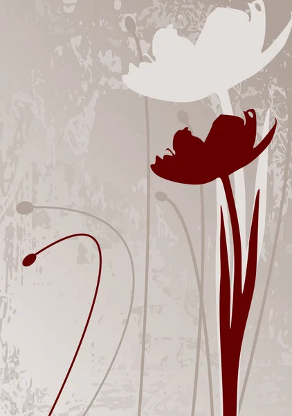 Tulipano bordeaux — Image vectorielle
