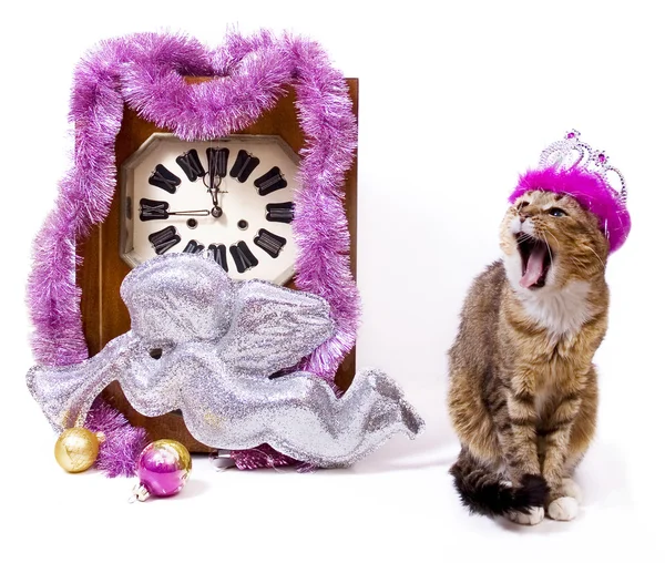 New Year card with clock and cat — Stock Photo, Image