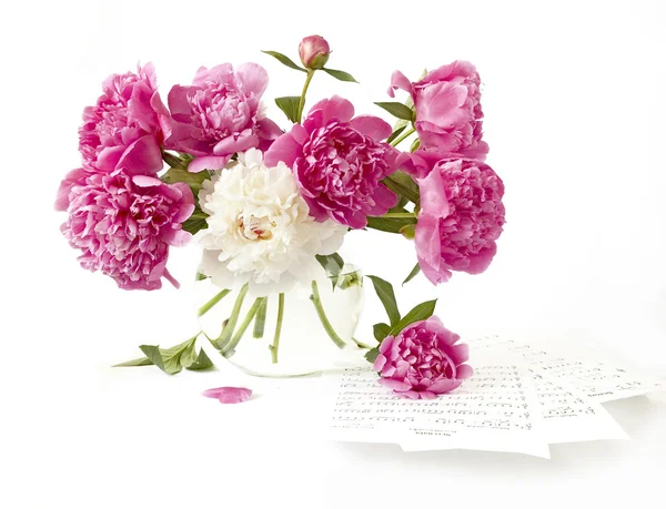粉红和白色的牡丹花束 — 图库照片