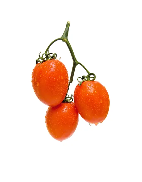 Tomaten — Stockfoto