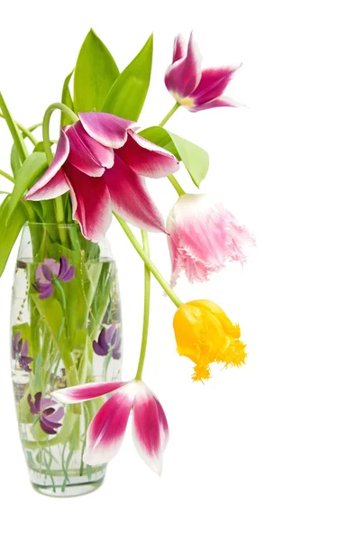 Ramo de tulipanes de diferentes colores en el jarrón — Foto de Stock