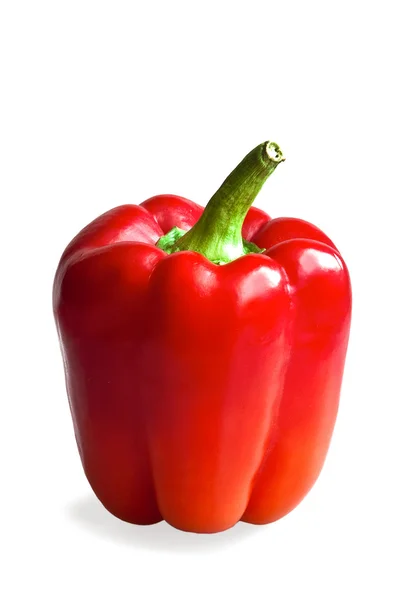 stock image Red pepper