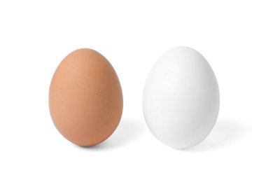 Two eggs clipart