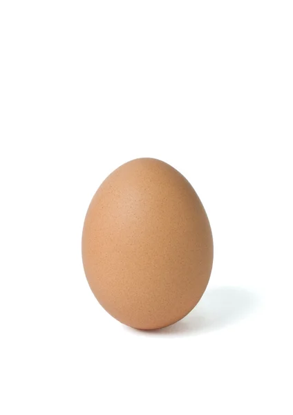 stock image Single brown egg