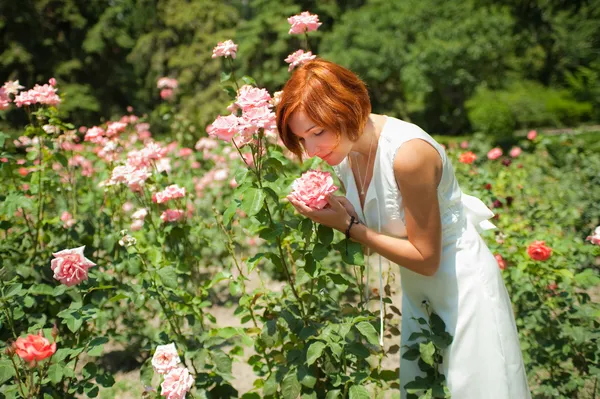 Woman in roses garden — Stock Photo, Image