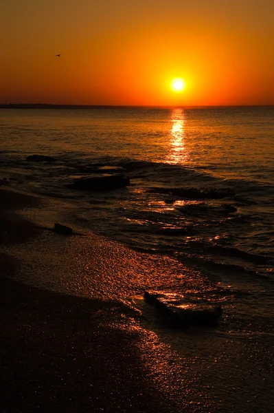 Öde stranden i solnedgången — Stockfoto