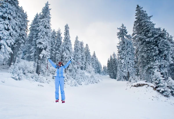 Radost z lyžování — Stock fotografie