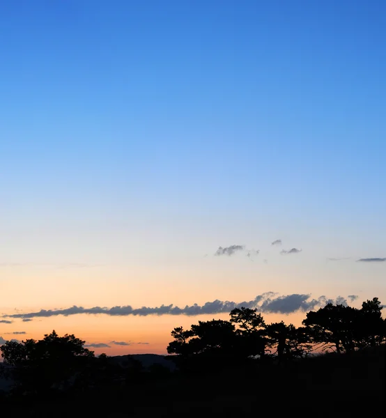 stock image Silhouette of trees against the sunset