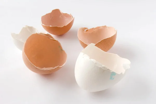 stock image Empty eggshell