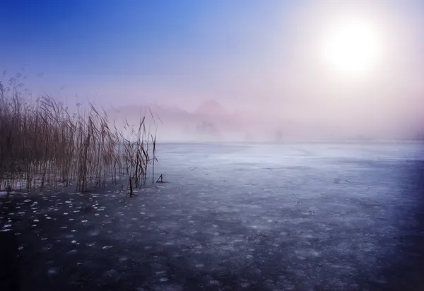 Холодное озеро зимой — стоковое фото