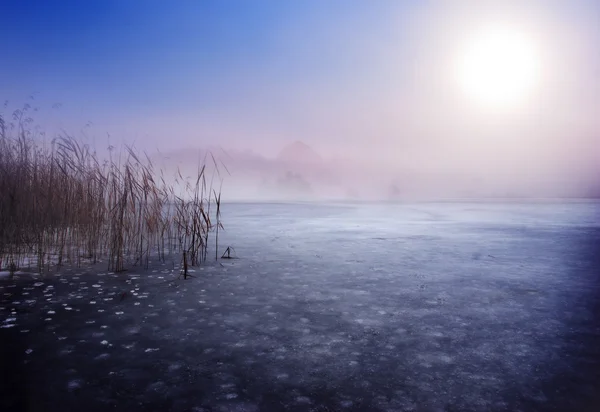 Lago congelado en invierno Fotos de stock libres de derechos
