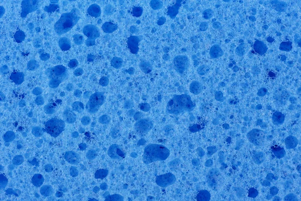Синій Губка крупним планом — стокове фото