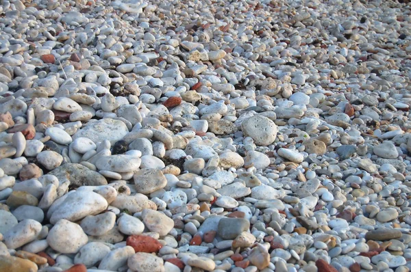 Steen op strand — Stockfoto