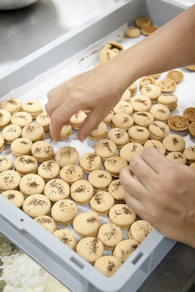 Macaroon cookies — Stock Photo, Image