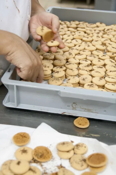 Macaroon cookies — Stock Photo, Image