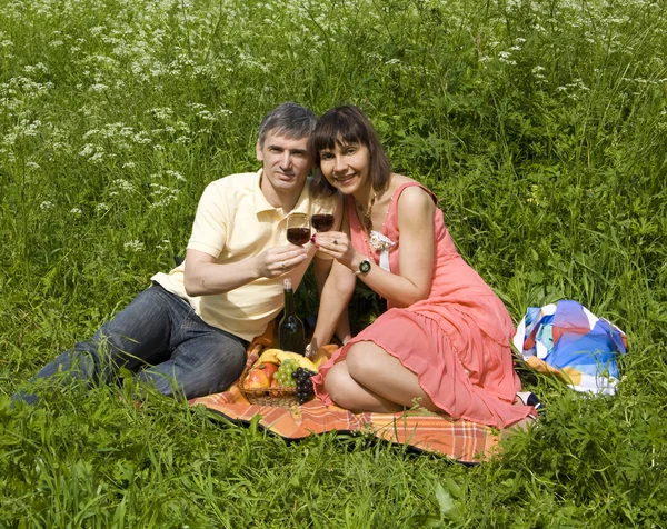 Picknick op gras — Stockfoto