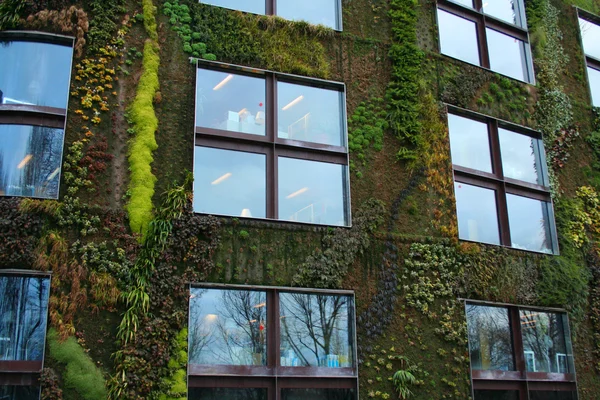 stock image Green house