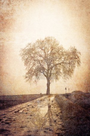 Image vintage d'un arbre 